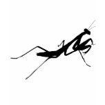 Praying Mantis t-shirts