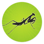 Praying Mantis With A Starburst Background stickers