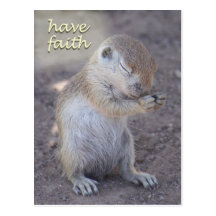 Praying Squirrel Post Card
