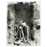 Pre-Columbian Gravesite Skeleton Full Color Flyer