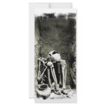 Pre-Columbian Gravesite Skeleton rack cards