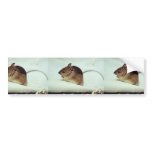 Prebles Meadow Jumping Mouse bumper stickers