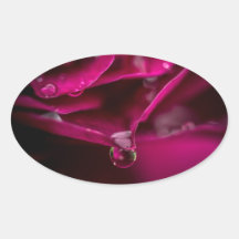 Precarious Oval Stickers
