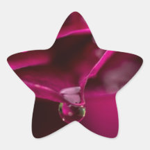 Precarious Star Sticker