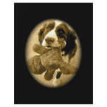 Precious And Her Fave Toy:  Sepia flyers