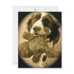 Precious And Her Fave Toy:  Sepia invitations