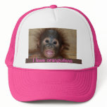 Precious Baby Orangutan