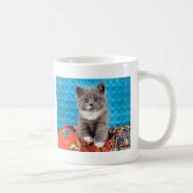Precious Cat and Kitten Photo Cards, Gifts, Postag Coffee Mug