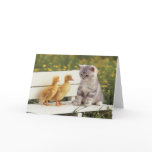 Precious Cats, Kittens Cards, Gifts -  Customise!