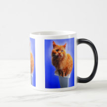 Precious Cats, Kittens Cards, Gifts -  Customise! Coffee Mugs