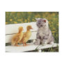 Precious Cats, Kittens Cards, Gifts -  Customise! Postcard