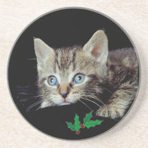 Precious Kitten Coaster