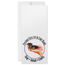 Precious Lives Rack Card