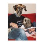 Precious moment postcards