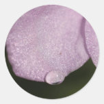 Precious Petal Round Stickers