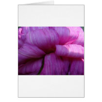 precious petals greeting cards