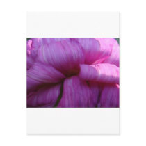 precious petals post cards