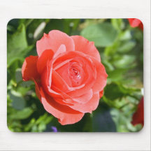 Precious Pink Rose Mouse Pad