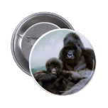 "PRECIOUS" Primate - Mountain Gorilla Buttons