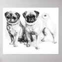 Precious Pugs Black and White Illustration Poster posters