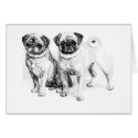 Precious Pugs Illustration Cards (blank)