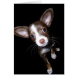 Precious Puppy Greeting Cards