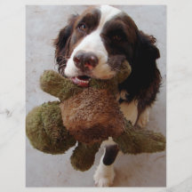 Precious Puppy Flyers