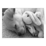 PRECIOUS PUPPY MOMENT cards