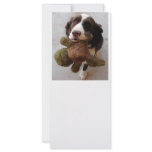 Precious Puppy rack cards