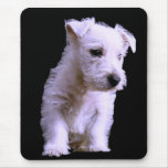 Precious Westie Puppy Mousepad