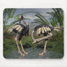 Preened To Perfection Mouse Mat
