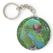 Preening Military Macaw Keychains