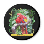 Preening Scarlet Macaw Art magnets