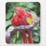 Preening Scarlet Macaw Art Mouse Pad