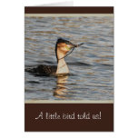 Pregnant & Pregnancy announcements cards
