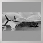 Prehistoric Fish B+W Print