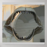 Prehistoric Jaws Print