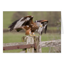 Prepare for Take Off Greeting Card