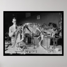 Preparing a Baby Dinosaur Skeleton 1921 Posters