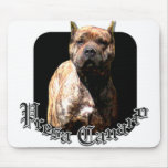Presa Canario mousepad