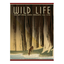 Preserve Wild life Post Card