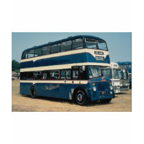 Preserved Leyland decker owned by ""The Delaine"" Tee Shirts
