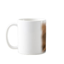 President Barack Hussein Obama Mug