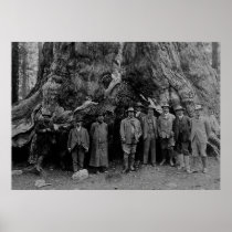 President Roosevelt and John Muir California 1903 Poster