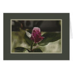 Pressed Tin Rose Greeting Card