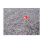 Pretentious Art shot 2 postcards