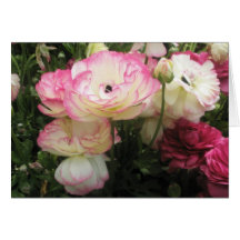 Pretty and Pink Card