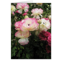 Pretty and Pink Greeting Card