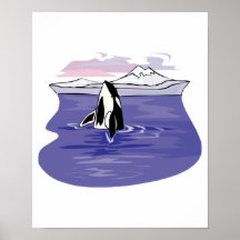 pretty artic orca scene posters
