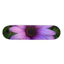 Pretty Aster Flower Skateboard